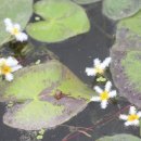 석정물산 | 나주 석정(石亭)