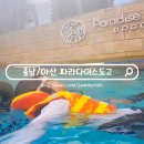 1호어묵오리지날 | 아산 온천 워터파크 파라다이스 도고 할인 스파 준비물
