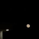 호석농장 이미지