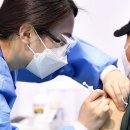 수원-1956 이미지