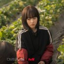 미지 이미지