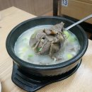 꽃곰탕 이미지