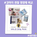 애보트래피드진단(주) | 강아지 관절영양제 사이노퀸 안티놀 헥시아 비교와 동시복용 후기 #내돈내산