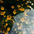 필름 현상소 [태그원스튜디오] 후기, 특징, 가격, 작례, 영업시간