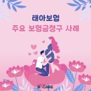 태아보험 주요 보험금청구 사례 이미지