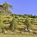 서울목장 이미지