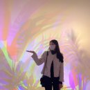 신라포차 이미지