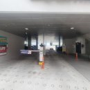 로울림 | 무거동속눈썹펌 울산대학교 근처 로울림 노글루 케라틴펌 후기