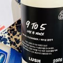 성인 얼굴 아토피 클렌징 밀크 로션 N년차, 러쉬코리아 나인투파이브 사용 중