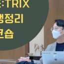 삶을 바꾸는 첫 걸음, 미트릭스로 내 인생 정리하기