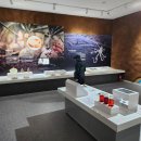 무안생태갯벌과학관 이미지