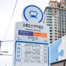 해맞이공영주차장 | 부산 오륙도 수선화 3월 개화상황 해맞이공원 스카이워크 후기