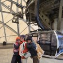 정원카 | 산 9월 vs 1월 비교 후기｜모노레일·케이블카·정원·정상까지 내돈내산 솔직후기 (9월 추천, 1월 비추천)