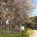 흥덕IC사거리(공원) 이미지