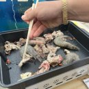 자은의 언덕 이미지