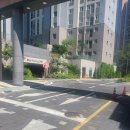 퐁실하개 이미지