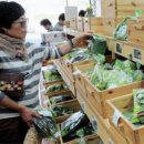 김명복농장 이미지