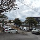 송산동주민센터 | 제주 서귀포 흑돼지 맛집 아기랑 깡촌흑돼지