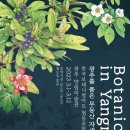 양림미술관 이미지