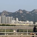 악어화장실 이미지