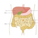 ＜단월드 배꼽힐링＞ 배꼽힐링이 왜 중요할까? 이미지