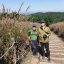 송정경노당 | 장산 억새 번개 산행 : (운촌 알뜰주유소 ~ 중봉 전망대 ~ 억새 밭 ~ 국수집 ~ 체욱공원 ~ 양운폭포...