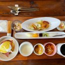 한동리브로콜리 이미지