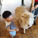 엉클슈즈 이미지