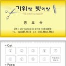 보경헤어샵 Daum카페