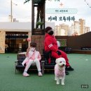 카페브루하하 이미지