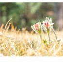 오남중학교 이미지