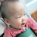 코끼리떡집 - 북구 호계로 332-2 | 코끼리떡집