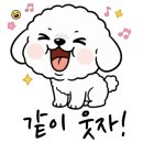 참동물병원 이미지