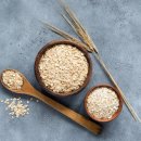 강진바이오텍 | 귀리 효능, 치매예방에 좋은 국산품종 '대양'