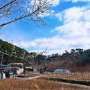 두량3리 이미지