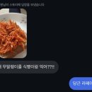 [일상] 착장 모음