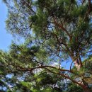 문경큰사람마을 이미지