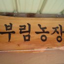부림농장 이미지
