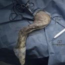 정강동물병원 이미지