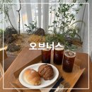 오브너스 이미지