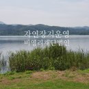 법인자연 이미지
