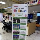 대성자원 | 대전 2025 영시축제 먹거리, 체험 부스, 놀거리 볼거리 후기, 화장실 정보