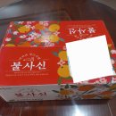 제주 태린농장