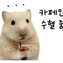 홍천38민박 이미지