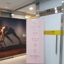 2020.12.02. 마곡꽃집 플레르유주에서 예쁜꽃 득템하고 시어머니께 메세지 뾰로롱~~^^