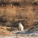 김성훈농장 이미지