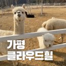 클라우드힐 | 가평 아이랑 가평양떼목장 클라우드힐 후기&amp;할인팁!