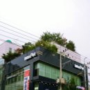 장보는 강아지와 고양이 음성대소점 이미지