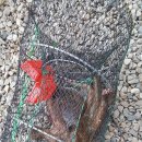 하나펜션 이미지