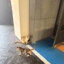 하버브릿지호텔 | 광양호텔추천, 광양숙박 광양가족숙소 광양 하버브릿지 호텔